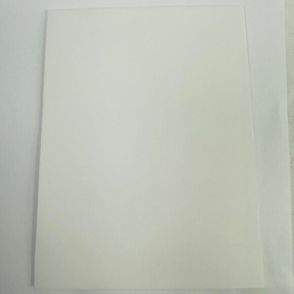 Vincent Van Gogh Painting The Plain Of Auvers  Blank Greeting Card With Envelope - Picture 7 of 7